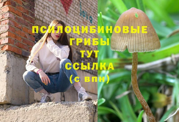 меф Баксан